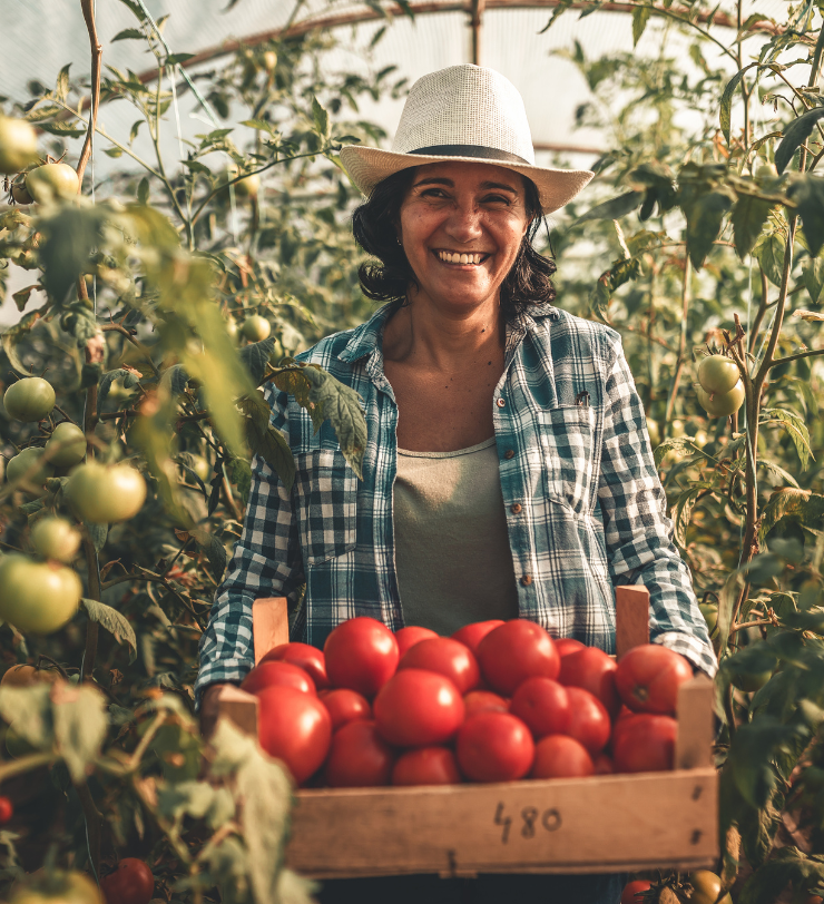 Procesos de automatización ia para el sector agrícola